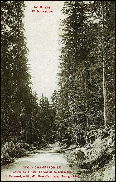 Champfromier CP n° 0001