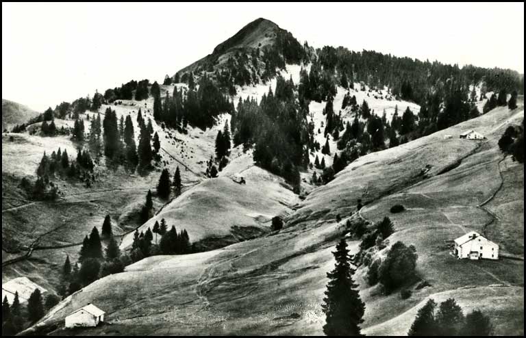 Champfromier CP n° 0215