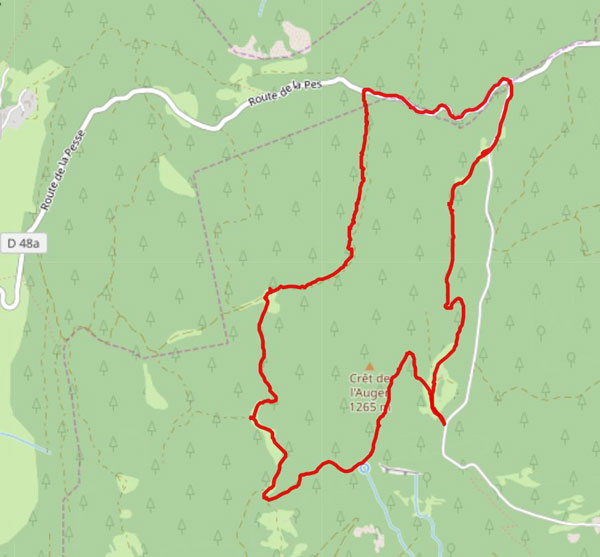 For&ecirc;t Champfromier