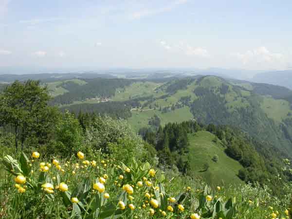 Vue depuis le Cr&ecirc;t de Chalam