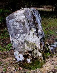 Borne de la Bune (Champfromier)