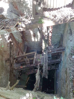 Ruines de la scierie de Tacon