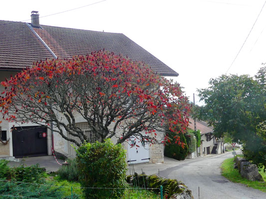 Incendie &agrave; Ardon, Pellet