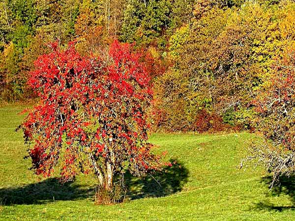 Photo &copy; G. Lancel