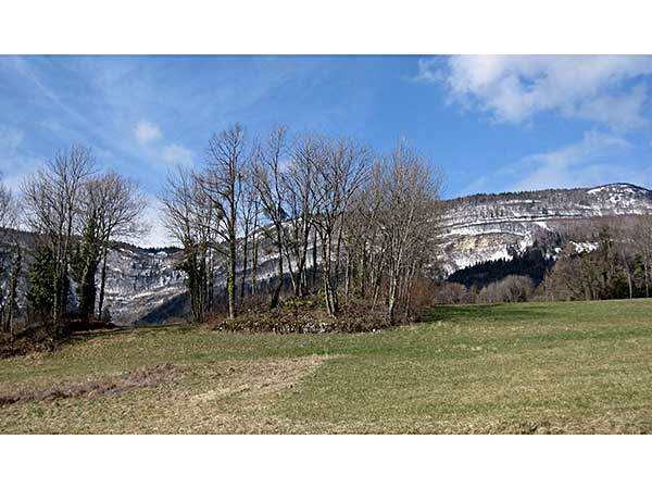 Photo &copy; G. Lancel