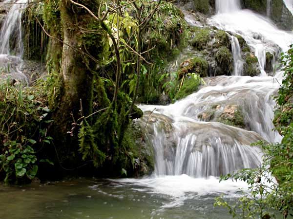 Photo &copy; G. Lancel