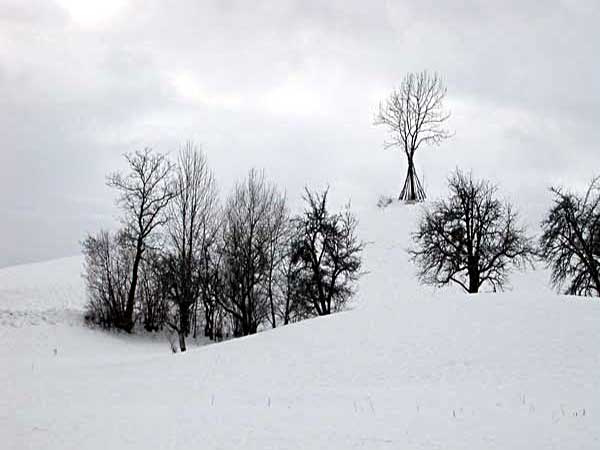 Photo &copy; G. Lancel