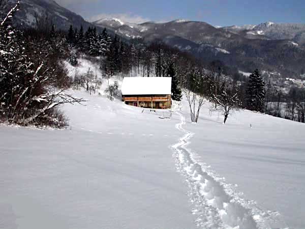 Photo &copy; G. Lancel