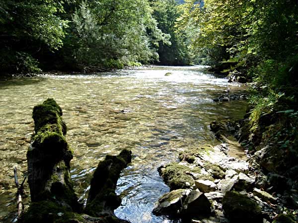 Photo &copy; G. Lancel