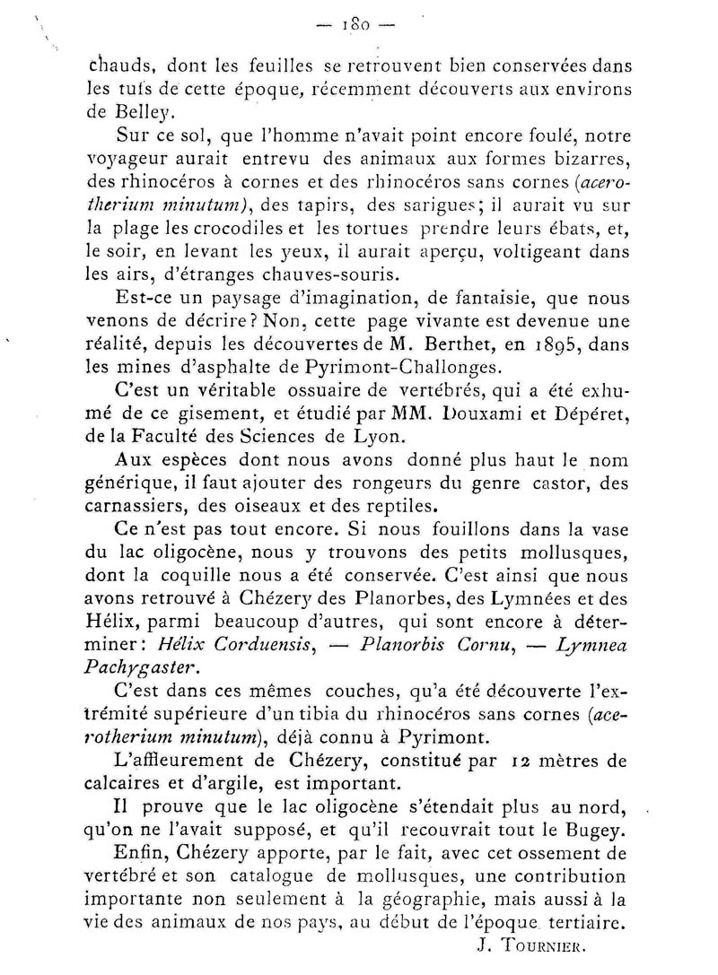 Rhinoc&eacute;ros de Ch&eacute;zery