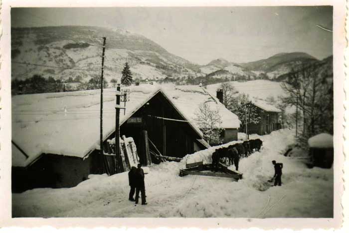 Les b&oelig;ufs d&eacute;neigent au Pont d'Enfer