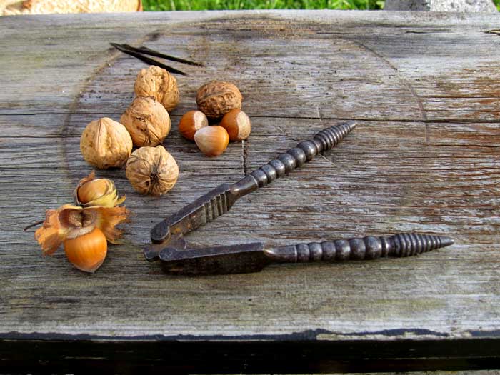 Casse-noix/noisettes