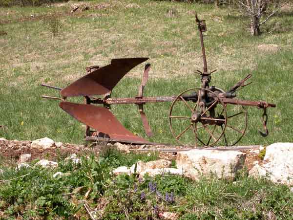 Charrue Brabant