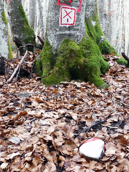 marque foresti&egrave;re